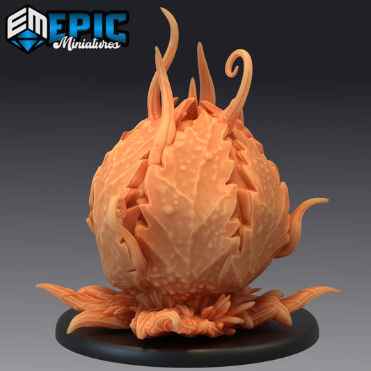 Mantrap in its closed state, a giant bud ready to bloom into trouble. Nothing like a bit of suspense—plant-style!