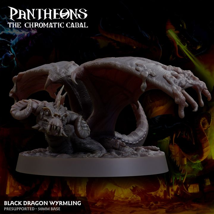 Wyrmling Black Dragon