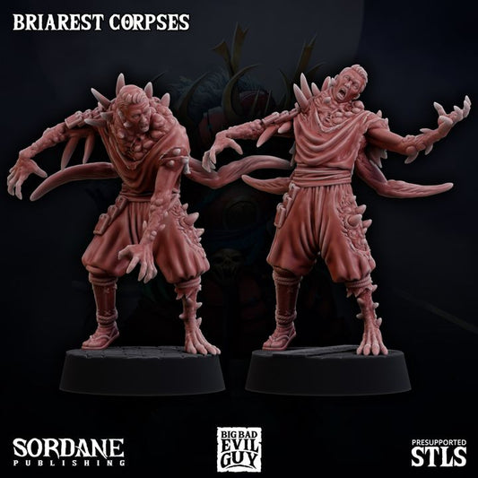 Pair of male Briarest Corpse miniatures with different poses, showcasing distorted forms and mutated appendages. These figures are well-suited for unsettling encounters in dark fantasy or horror-themed RPG settings.