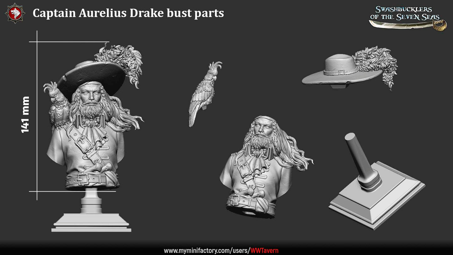 Captain Aurelius Drake – Pirate Captain Swashbuckler – Miniature & Bust
