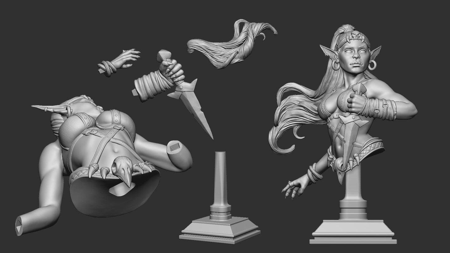 Goblin Thief bust parts layout – bust version with dagger and flowing hair for painting and display, perfect for collectors and painters.