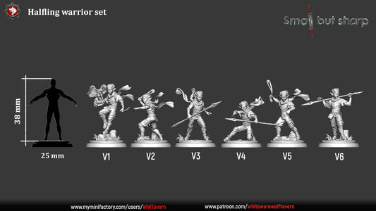 Scale reference of halfling warrior miniatures, male fighters with varied weapons.