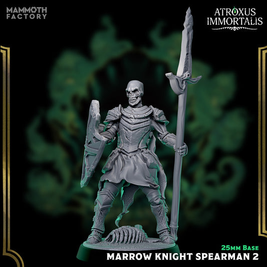 Marrow Knight Spearman 2 undead skeleton knight miniature with spear and shield standing guard