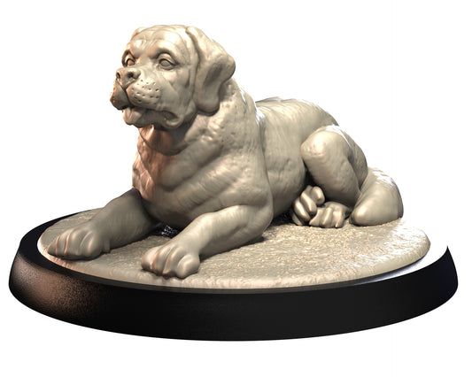 Saint Bernard miniature lying down with front paws forward, loose skin folds, and large head on a rocky base.