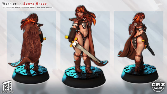 Sonya Grace human barbarian miniature multi-angle view showing detailed armor, cape, and sword – Pathfinder fantasy figure.