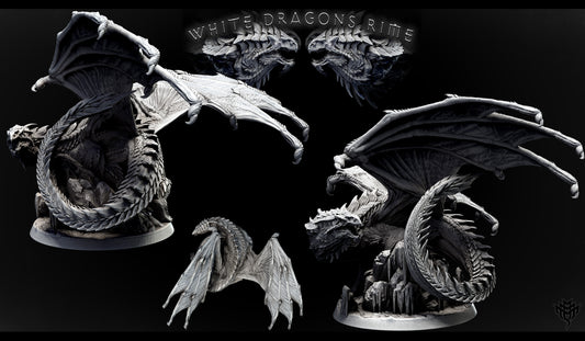 Collage of Adolescent White Dragon Pose 1 with multiple angles showing the curled tail, perched position, and wide wingspan atop rocky terrain on a 50mm base.