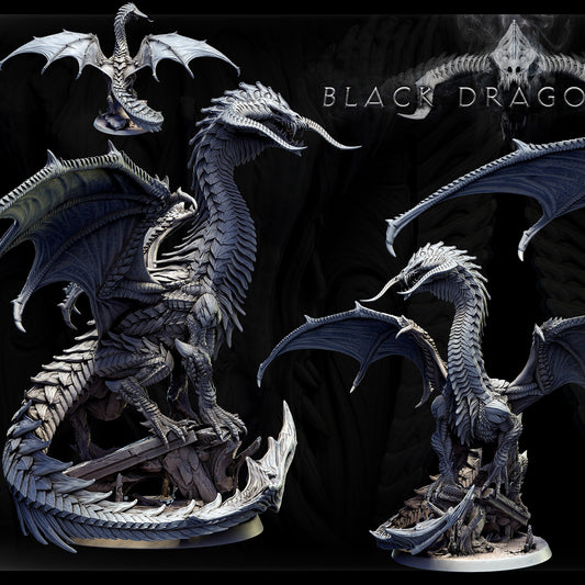Adult Black Dragon figurine in pose 1, featuring a curled tail, extended wings, and aggressive stance for tabletop RPG scenarios.