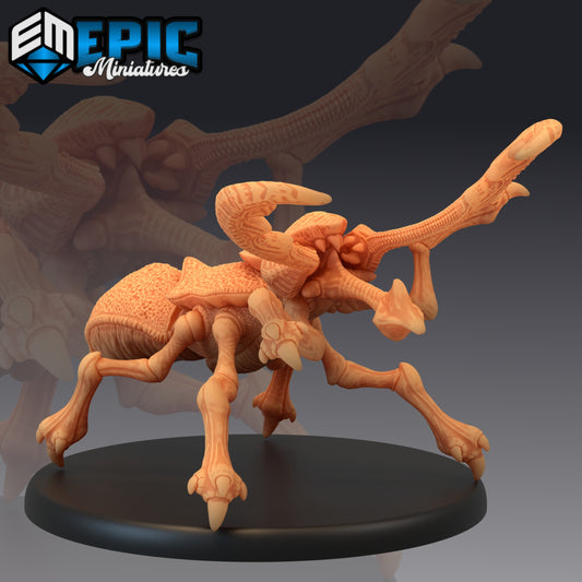 Dread Beetle miniature, showcasing a large beetle creature with multiple legs, sharp mandibles, and a long, segmented horn-like appendage, posed on a base.