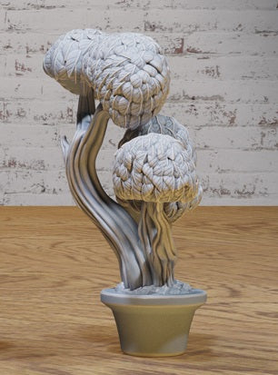 Twisted bonsai tree with round canopy, conveying age and mystical presence.