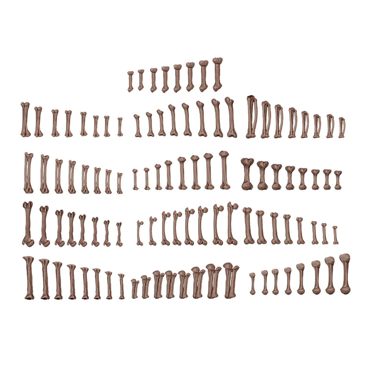 AK Interactive Basing Bits: Human Bones (120 Pieces)