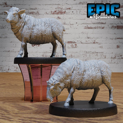 Two sheep miniatures on display, with one standing and the other grazing. Both add rustic character to tabletop campaigns, whether for D&D, Pathfinder, or other fantasy games.