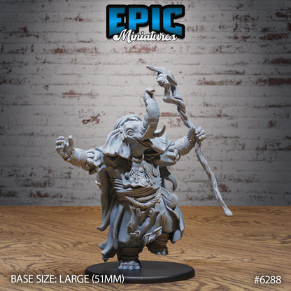 Loxodon druid miniature ritual casting pose arms raised staff lifted flowing robes elephant folk spellcaster Dungeons and Dragons resin tabletop miniature large base