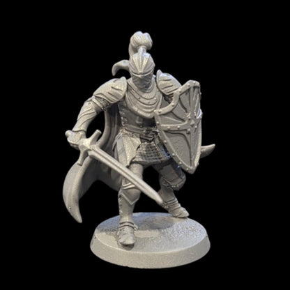 Chivalrian Knight Guard Miniatures