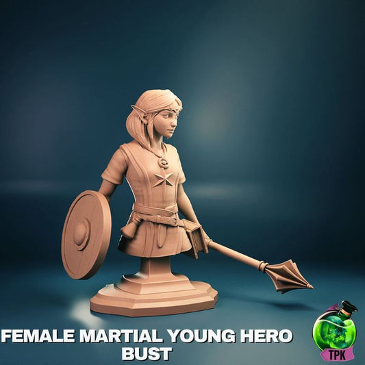 Bust view of young female elf warrior with shield and mace, wearing light armor and headband