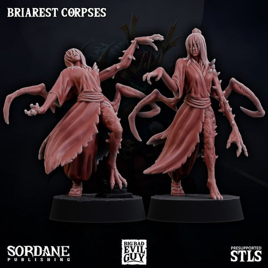 Set of two Briarest Corpse miniatures, each with an unsettling, monstrous design featuring elongated limbs, twisted robes, and deformed hands. Ideal for creating a creepy atmosphere in dark fantasy tabletop RPG games.