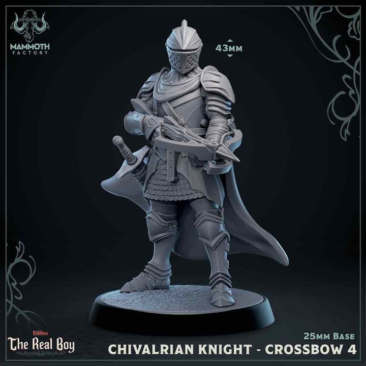 A Chivalrian Knight standing firm with a loaded crossbow, wearing full plate armor and a long cape.