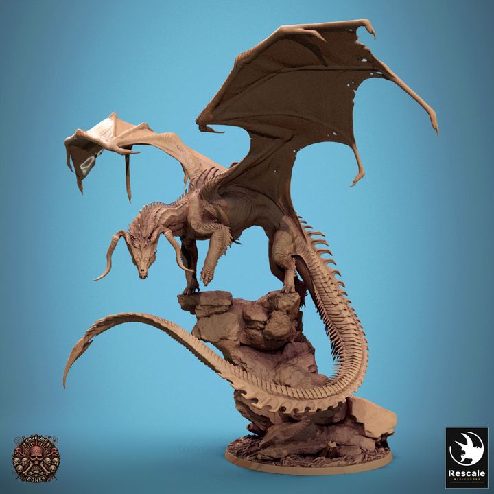 Chromatic Black Dragon miniature poised on a rocky base, wings spread wide and ready to intimidate opponents in Pathfinder campaigns.