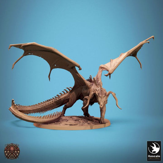 A Chromatic Black Dragon miniature in a walking, showcasing intricate wing and tail details for use in tabletop RPGs like Dungeons & Dragons.