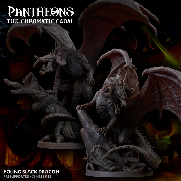 This young black dragon figurine exudes a menacing presence with its twisted wings, clawed limbs, and sharp ridges. Perfect for tabletop adventures in games like Dungeons & Dragons or Pathfinder, this model captures the essence of a dark swamp-dwelling predator ready to strike.