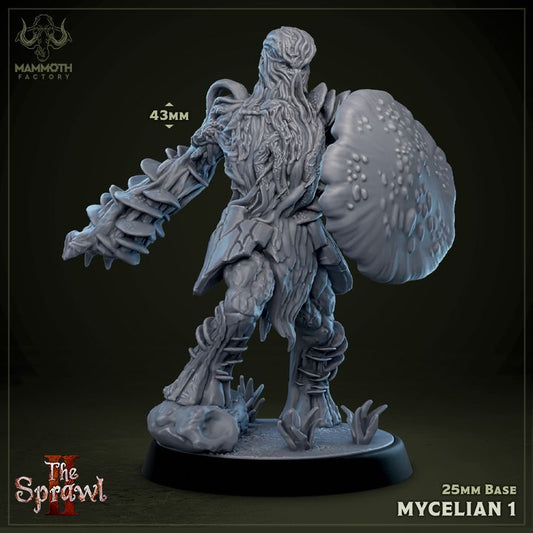 Mycelian 1 figurine, a humanoid fungal warrior standing at 43mm, wielding a large mushroom shield and bark-like armor. Suitable for fantasy TTRPGs like Pathfinder or D&D.