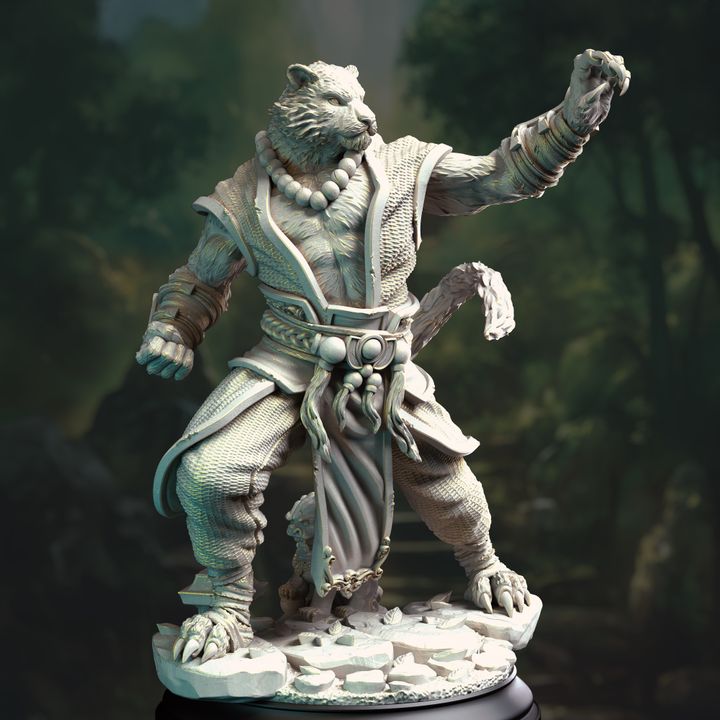 Front view of Raiko, the Tabaxi Monk, showcasing intricate details in his robes and feline form, ready for action in your tabletop adventures.