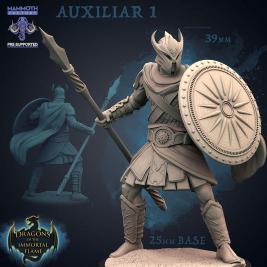 Auxiliar