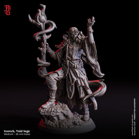 Goreck, Void Sage miniature depicting a male elf druid holding a serpent-entwined staff, wearing flowing robes, and standing on rocky terrain. Perfect for fantasy TTRPGs like Dungeons & Dragons or Pathfinder.