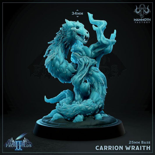 Carrion Wraith