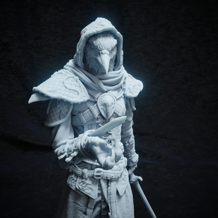 Front view of Corvo Baltar the kenku rogue in hooded armor with a dagger ready.