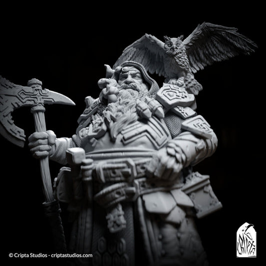 Close-up of Andanor Trosdain, a dwarven warrior with a hood, a magnificent beard, and an owl perched on his shoulder. The dwarf looks ready to give serious wisdom or serious trouble.