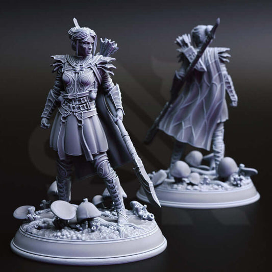 Soldados Drow - Los Elegidos de Irinax