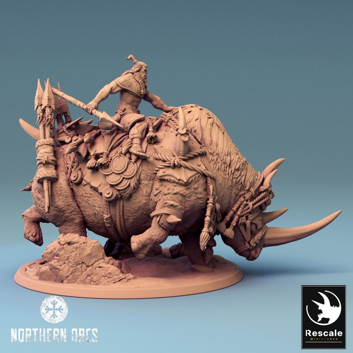 Northern Rhinos