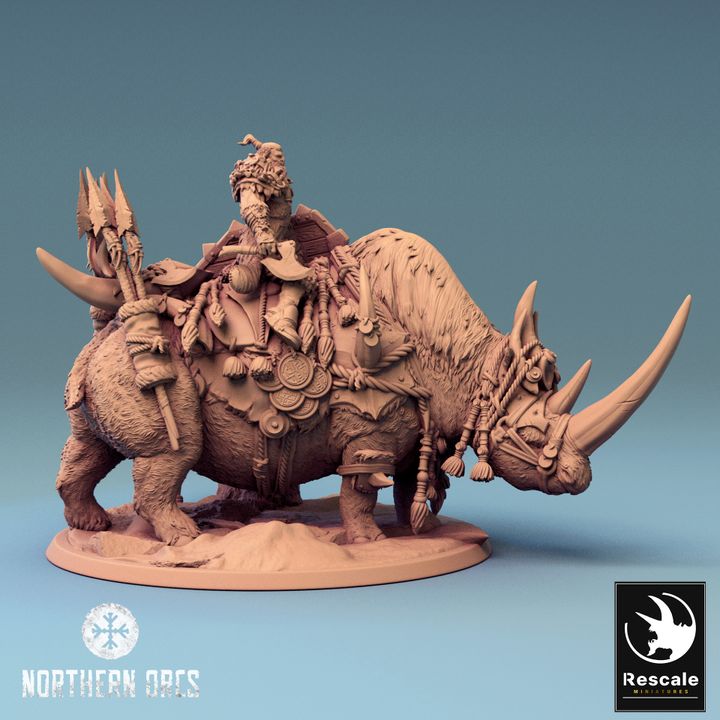 Northern Rhinos