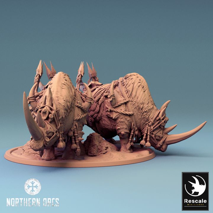 Northern Rhinos