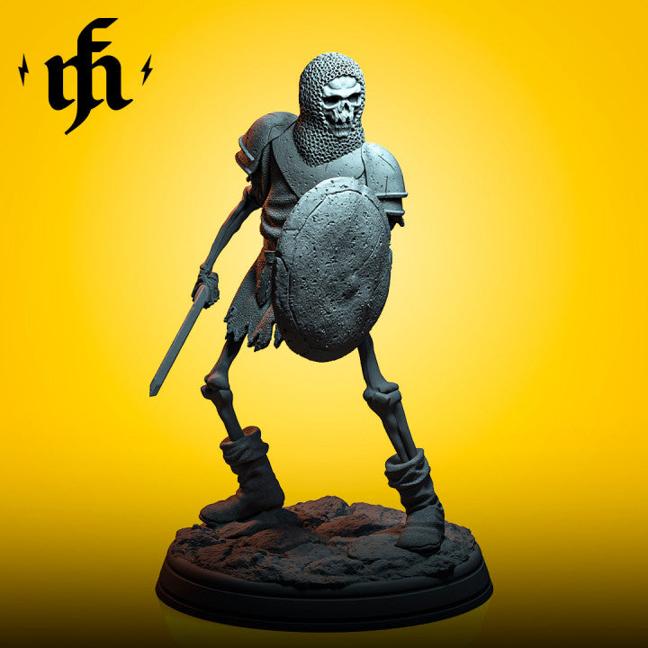 Soldier Skeleton wearing chainmail, holding a sword and shield, standing on rocky terrain.