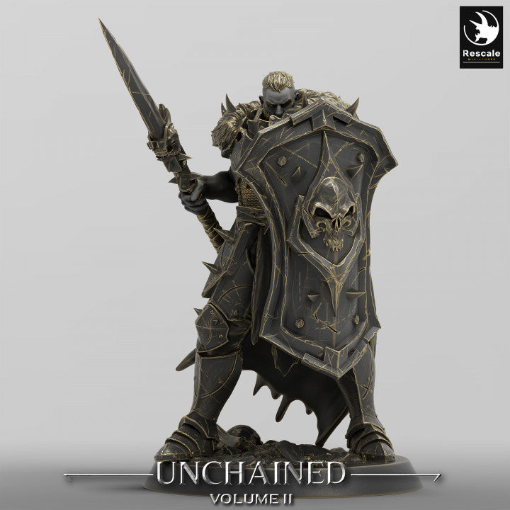 Raider holding a spear, poised to strike with heavy armor and a shield nearby.