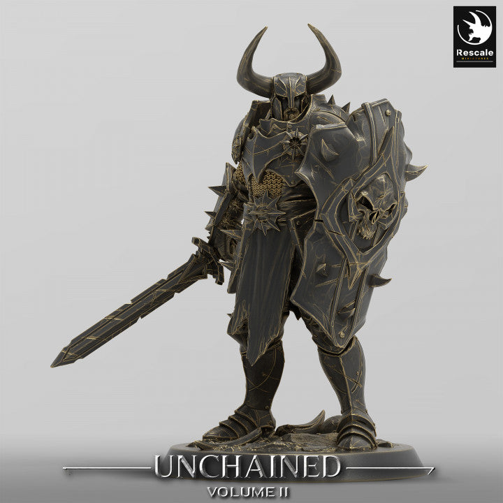 Unchained Raider holding a sword, resting a large skull-decorated shield against the ground, ready for battle.