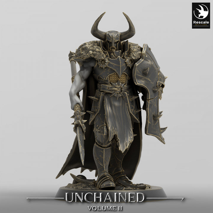 Unchained Raider warrior standing with sword and shield, dressed in heavy armor with a skull-adorned shield.