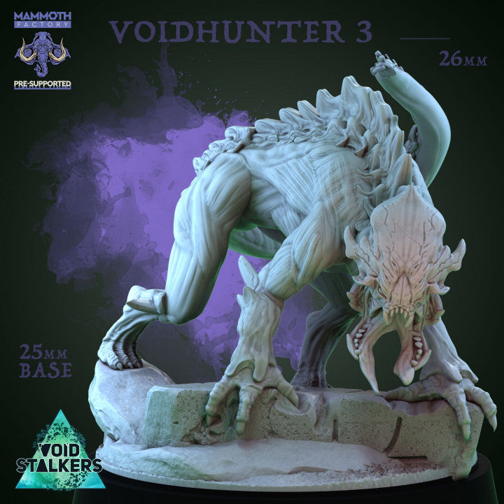 Voidhunter