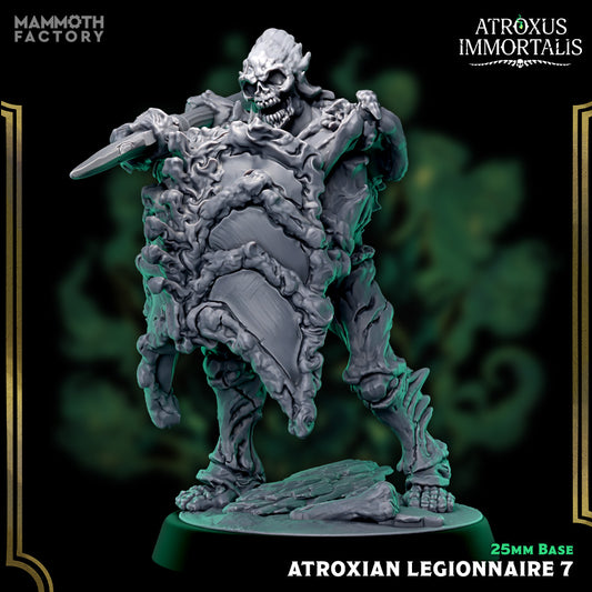 Atroxian Legionnaires – Undead Draugr Skeletal Soldier Miniatures