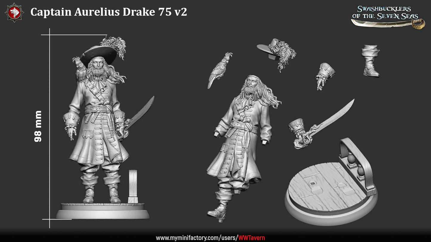 Captain Aurelius Drake – Pirate Captain Swashbuckler – Miniature & Bust