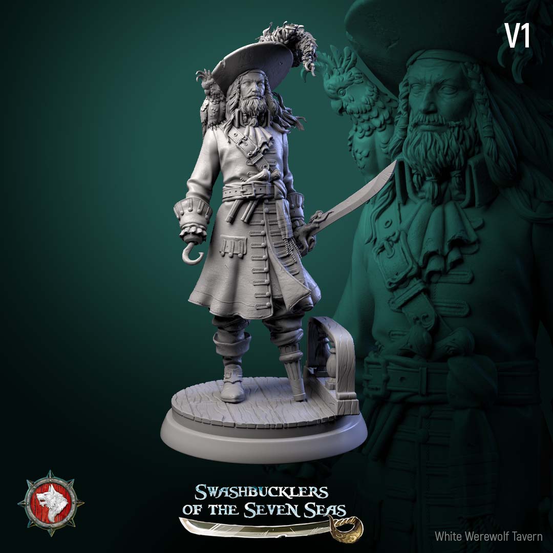 Captain Aurelius Drake – Pirate Captain Swashbuckler – Miniature & Bust