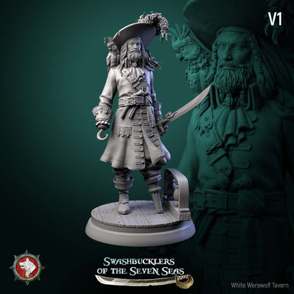 Captain Aurelius Drake – Pirate Captain Swashbuckler – Miniature & Bust