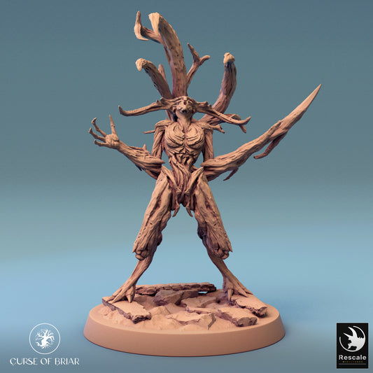 Wood Fey intermediate variant, arms stretched with spiky branches—clearly indicating it's ready to defend its forest territory, or perhaps just really wants a hug.