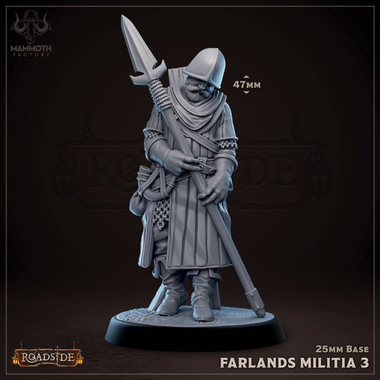 Farlands Militia figure leaning on a spear, dressed in chainmail and a hood.