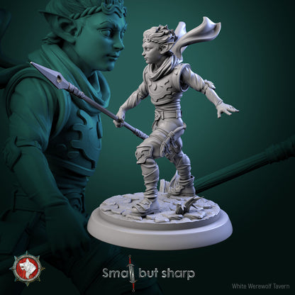 Halfling warrior miniature holding spear in defensive stance, male fighter.