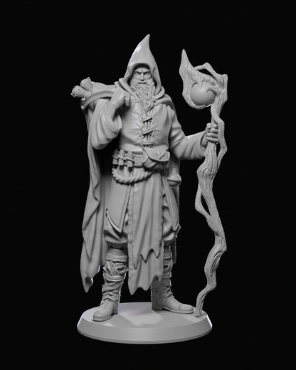 Front view of Karadin Genly, a human wizard or druid miniature, wearing a hooded robe and holding a gnarled staff with a glowing orb.