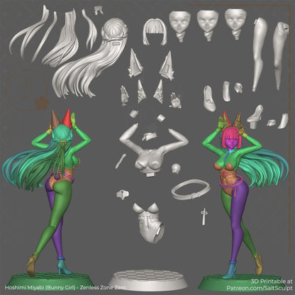 hoshimi miyabi zenless zone zero figure parts layout hair pieces head sculpts arms legs base accessories bunny ears 1-7 scale assembly