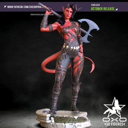 Shadowheart OXO3D Figure - NSFW/SFW | Dungeons & Dragons Dungeon Master Minis Shadowheart OXO3D Figure - NSFW/SFW | Dungeons & Dragons Dungeon Master Minis