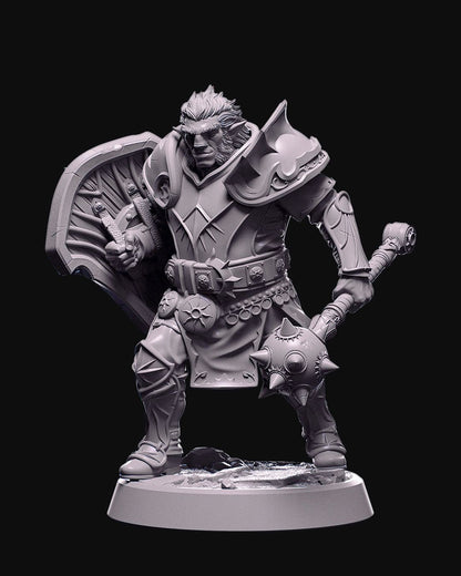 Firbolg male paladin with heavy armor, sun-themed shield, and a massive mace, standing ready for battle on rocky terrain.